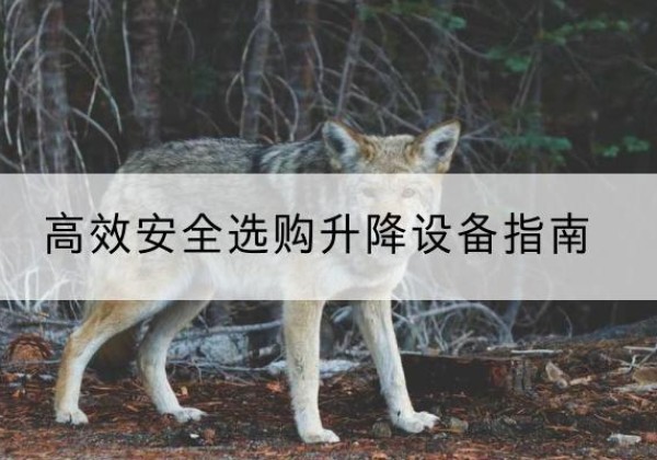 巧家升降货梯厂家推荐-*安全选购升降设备指南