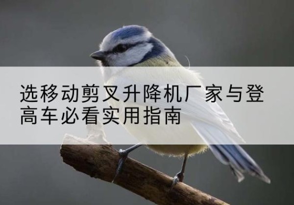 巧家电动升降机厂家-选移动剪叉升降机厂家与登高车必看实用指南
