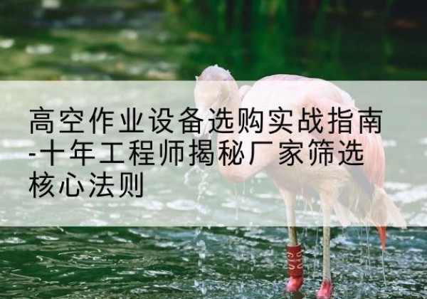 巧家剪叉式升降机厂家-高空作业设备选购实战指南-十年工程师揭秘厂家筛选核心法则